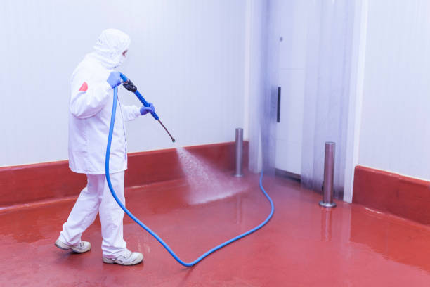 Best Warehouse Cleaning  in Vamo, FL