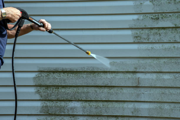 Best Gutter Cleaning  in Vamo, FL